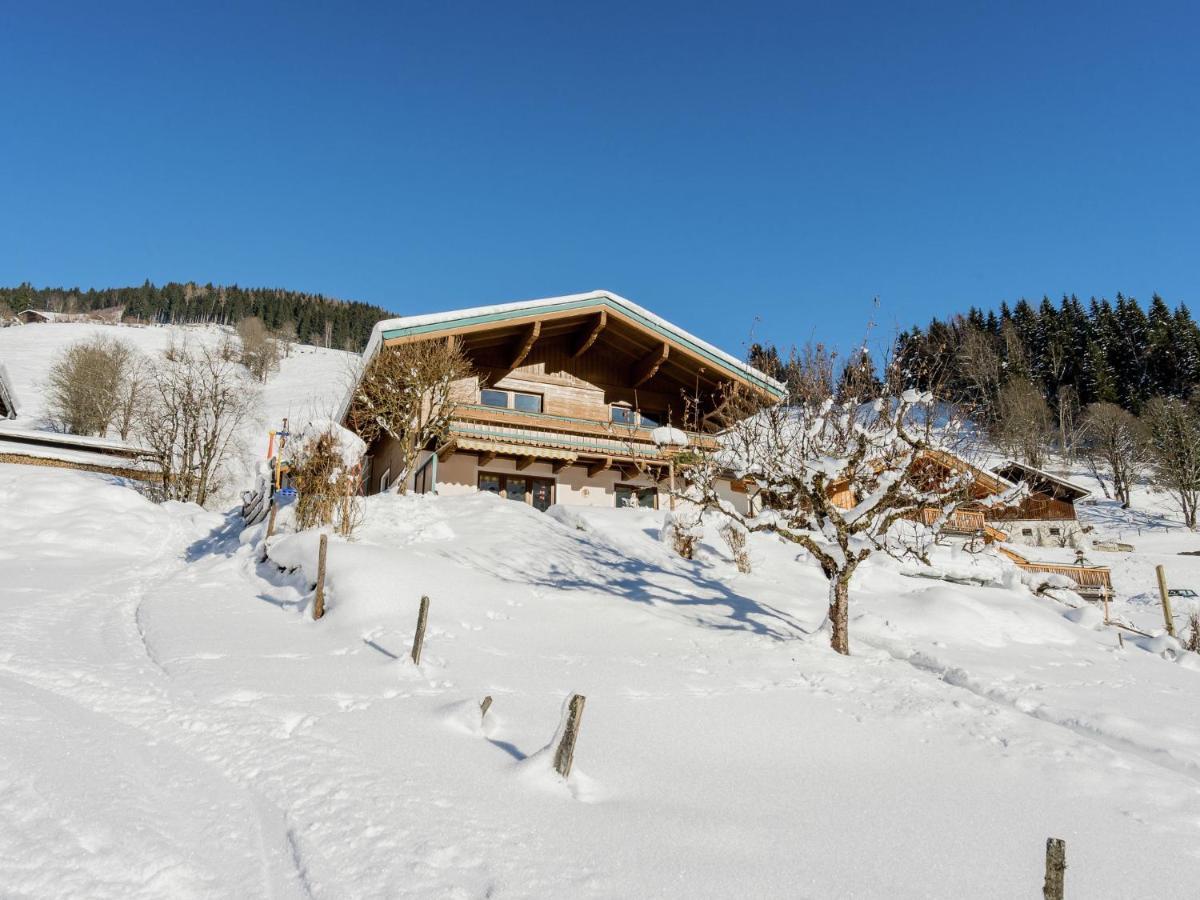 Apartment Near The Ski Area Saalbach-Hinterglemm Exterior photo